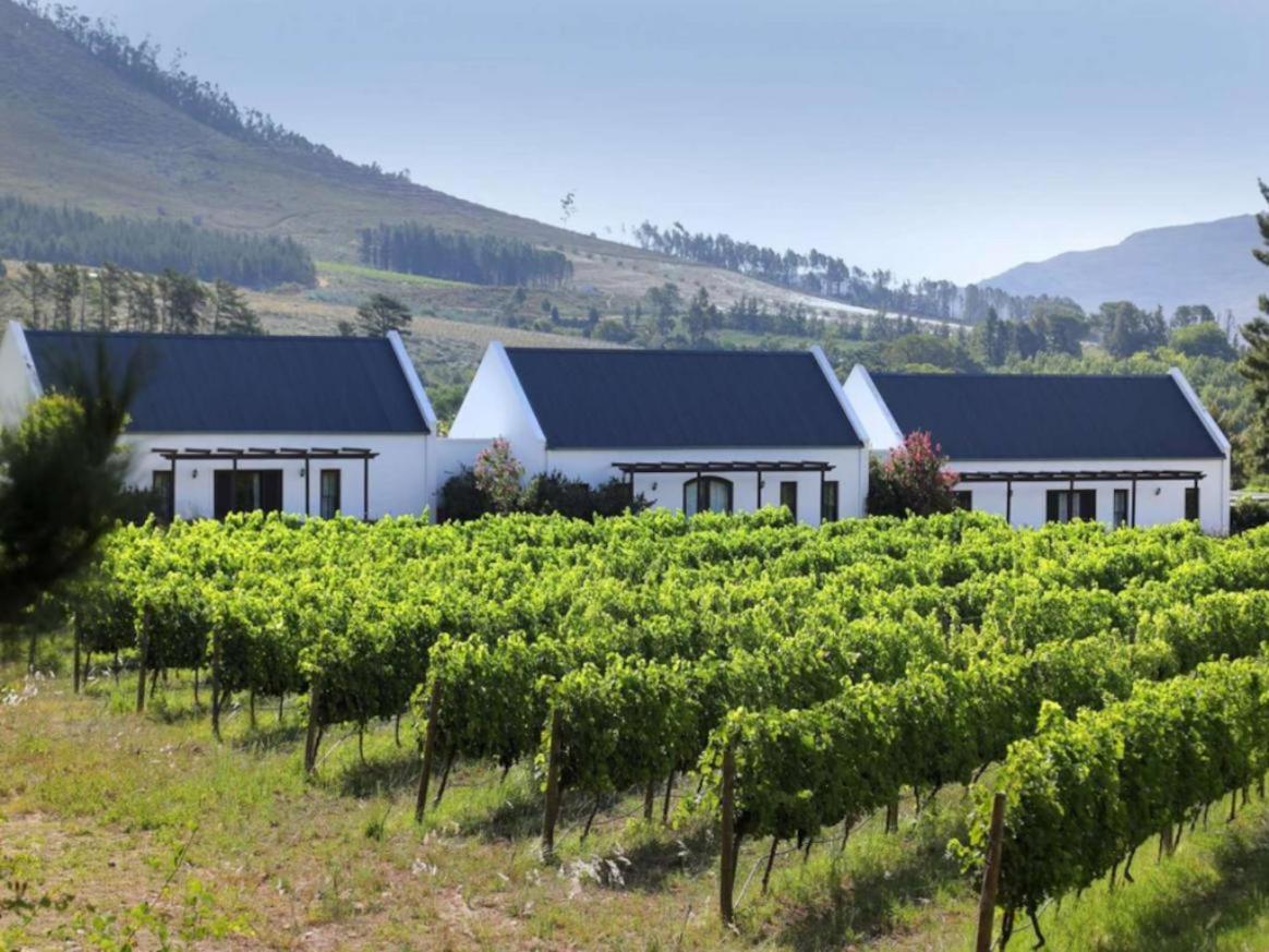 Chambray Estate - The Terraces In The Vines Bed and Breakfast Franschhoek Εξωτερικό φωτογραφία