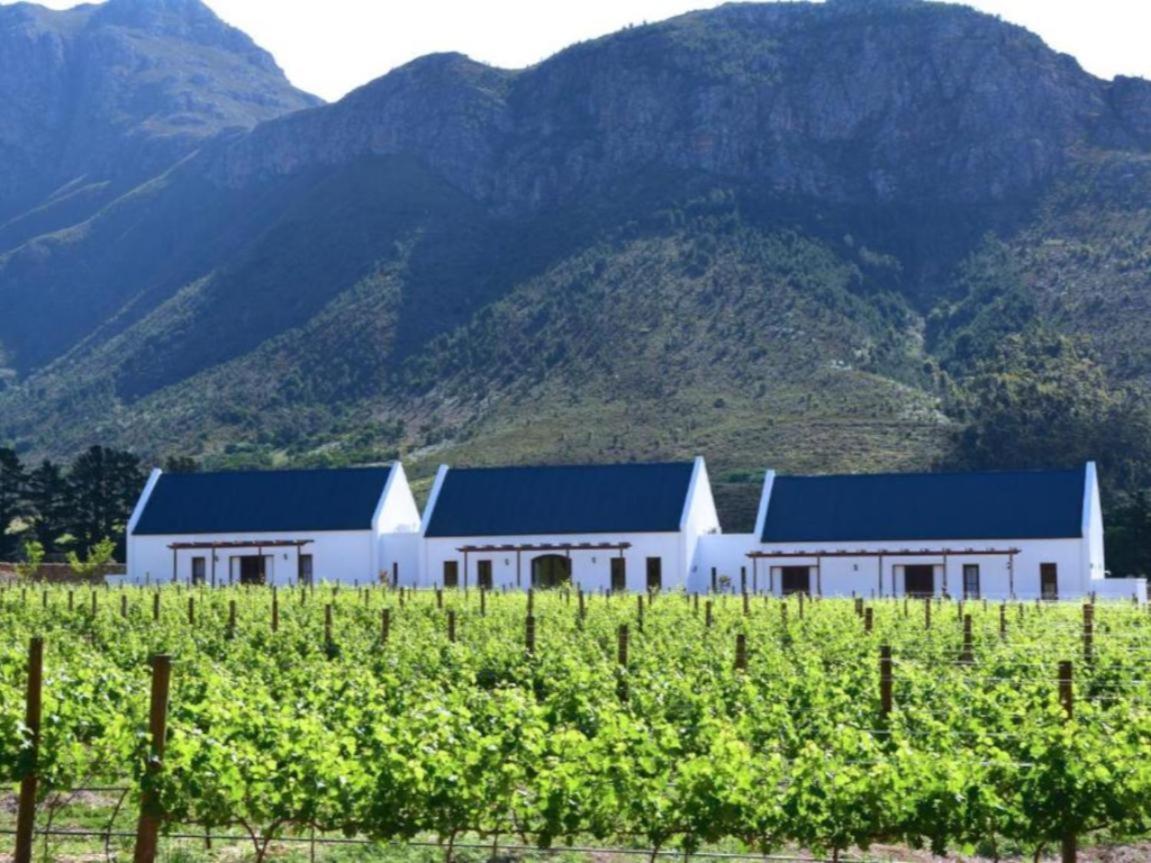 Chambray Estate - The Terraces In The Vines Bed and Breakfast Franschhoek Εξωτερικό φωτογραφία