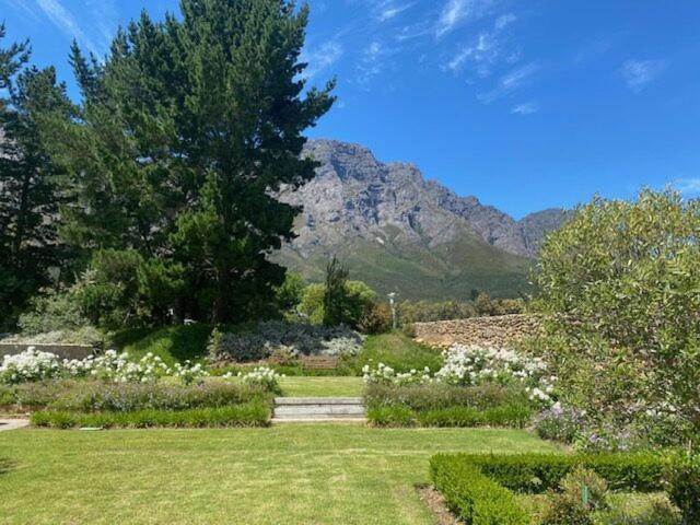 Chambray Estate - The Terraces In The Vines Bed and Breakfast Franschhoek Εξωτερικό φωτογραφία